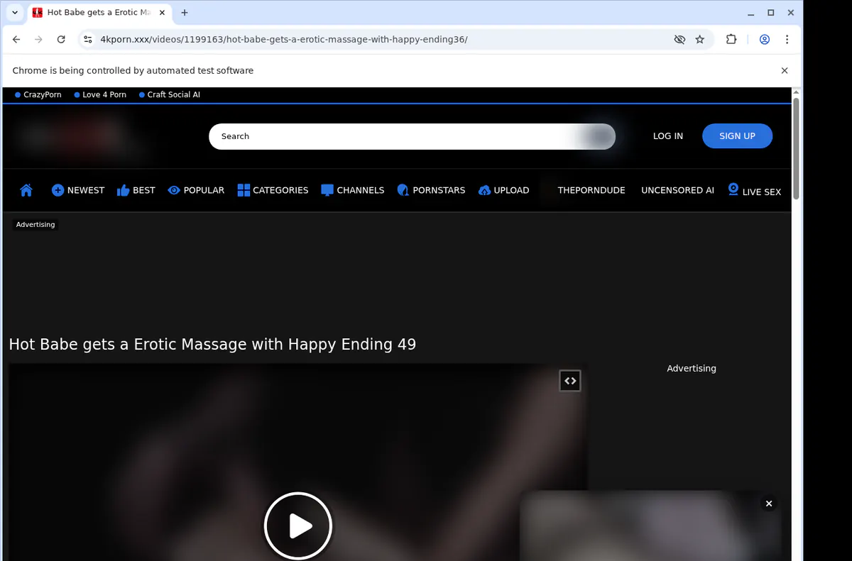 4kporn Video Downloader browser extension screenshot 2