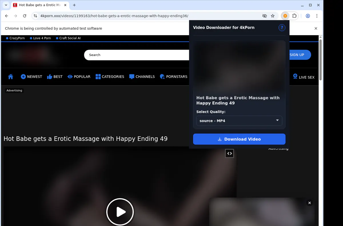 4kporn Video Downloader browser extension screenshot 3
